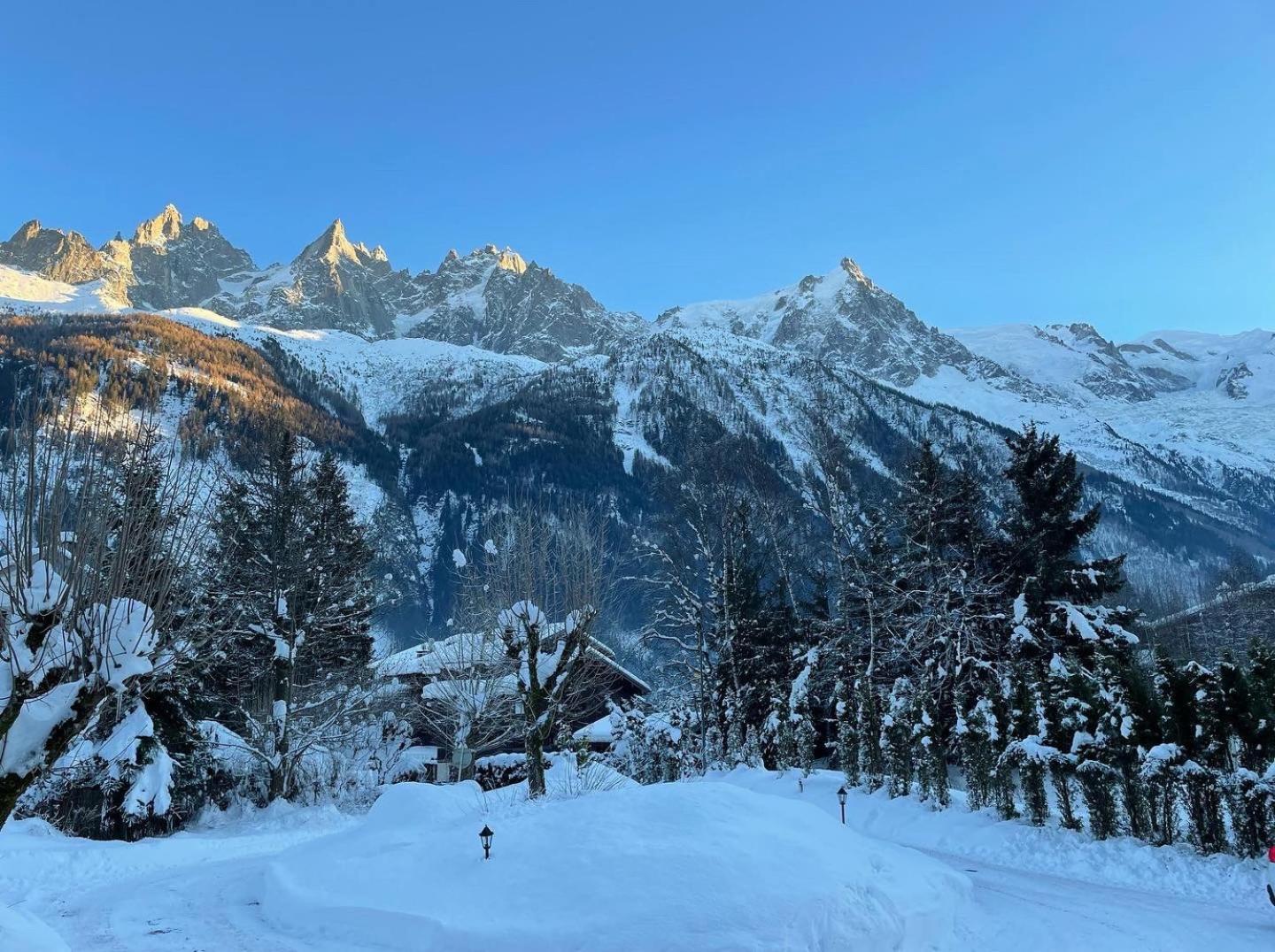 Chalet Hotel La Sapiniere Chamonix Exterior photo
